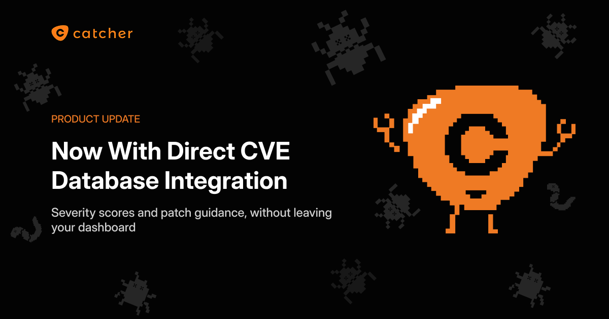 Prioritize risks faster: Direct integration with CVE databases